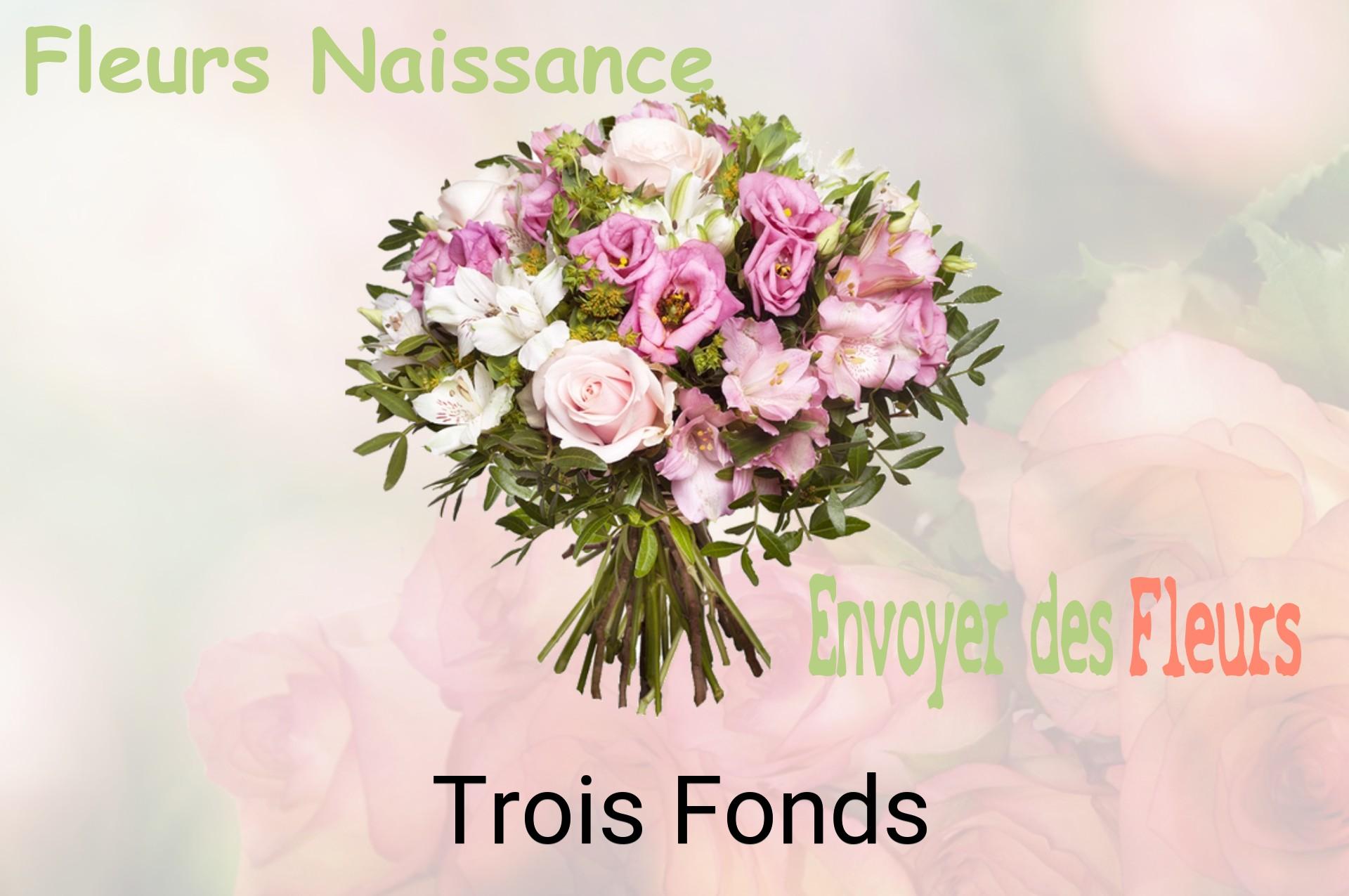 Bouquet de fleurs de naissance livré à Trois-Fonds
